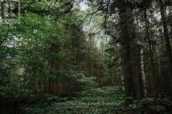 447 FOX RUN | Temagami Ontario | Slide Image Twenty-three