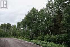 447 FOX RUN | Temagami Ontario | Slide Image Twenty-seven