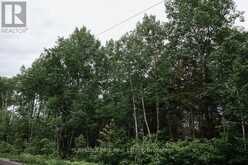 447 FOX RUN | Temagami Ontario | Slide Image Thirty-eight