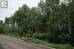 447 FOX RUN | Temagami Ontario | Slide Image Five