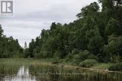 447 FOX RUN | Temagami Ontario | Slide Image Eight