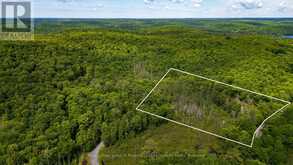 344 NORTH FOX LAKE ROAD | Huntsville Ontario | Slide Image One