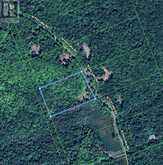 344 NORTH FOX LAKE ROAD | Huntsville Ontario | Slide Image Fifteen