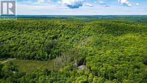 344 NORTH FOX LAKE ROAD | Huntsville Ontario | Slide Image Eight