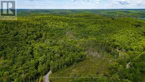 344 NORTH FOX LAKE ROAD | Huntsville Ontario | Slide Image Nine