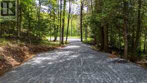 344 NORTH FOX LAKE ROAD | Huntsville Ontario | Slide Image Two