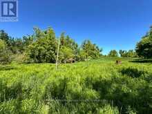 555463 MONO-AMARANTH TOWNLINE | Mono Ontario | Slide Image Twenty-four
