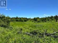 555463 MONO-AMARANTH TOWNLINE | Mono Ontario | Slide Image Thirty