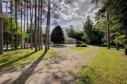 314844 6 HIGHWAY | Durham Ontario | Slide Image Seven