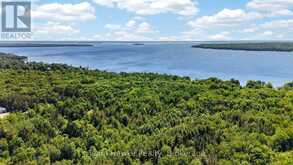PLAN 1060 PEEK-A-BOO TRAIL | Tiny Ontario | Slide Image Eight