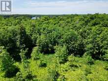 0 ACTON ISLAND ROAD | Port Carling Ontario | Slide Image Ten