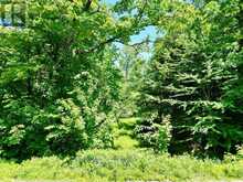 0 ACTON ISLAND ROAD | Port Carling Ontario | Slide Image Two