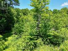 0 ACTON ISLAND ROAD | Port Carling Ontario | Slide Image Three