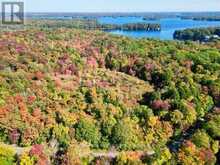 0 ACTON ISLAND ROAD | Port Carling Ontario | Slide Image One