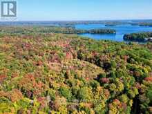 0 ACTON ISLAND ROAD | Port Carling Ontario | Slide Image Seven