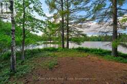 507 NORTH WASEOSA LAKE ROAD | Huntsville Ontario | Slide Image Forty-five