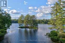 507 NORTH WASEOSA LAKE ROAD | Huntsville Ontario | Slide Image Forty-six