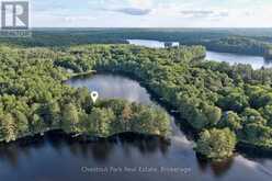 507 NORTH WASEOSA LAKE ROAD | Huntsville Ontario | Slide Image Forty-nine