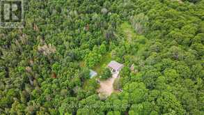 17254 HIGHWAY 118 | Highlands East Ontario | Slide Image Forty-four