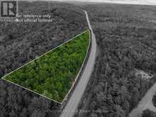 0 HIGHWAY 60 HIGHWAY | Dwight Ontario | Slide Image Two