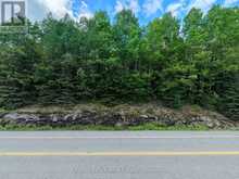 0 HIGHWAY 60 HIGHWAY | Dwight Ontario | Slide Image Six