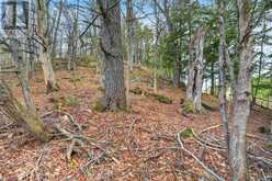 32 GAINSBOROUGH ROAD | Bracebridge Ontario | Slide Image Two