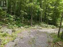 1731 FRASERBURG ROAD | Bracebridge Ontario | Slide Image Six