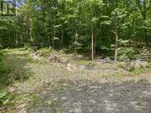 1731 FRASERBURG ROAD | Bracebridge Ontario | Slide Image Eight