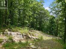 1731 FRASERBURG ROAD | Bracebridge Ontario | Slide Image Nine