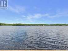1007 LEECH LAKE POINT ROAD | Bracebridge Ontario | Slide Image Seventeen