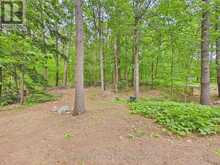 51 TAYLOR ISLAND | Gravenhurst Ontario | Slide Image Thirty-eight