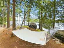 51 TAYLOR ISLAND | Gravenhurst Ontario | Slide Image Thirty-nine