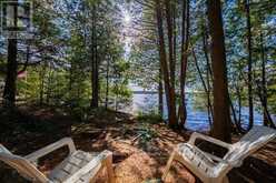 764 EAST BEAR LAKE ROAD | McMurrich/Monteith Ontario | Slide Image Twenty-four