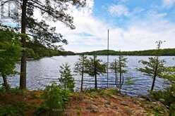 383 HORSESHOE LAKE WA | Seguin Ontario | Slide Image Forty-eight