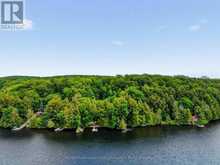 1093 CORYLUS LANE | Haliburton Ontario | Slide Image Thirty-nine