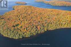 0 BEAR ISLAND | Lake of Bays Ontario | Slide Image Seventeen
