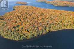 0 BEAR ISLAND | Lake of Bays Ontario | Slide Image Eighteen
