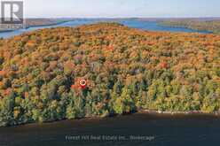 0 BEAR ISLAND | Lake of Bays Ontario | Slide Image Twenty-four