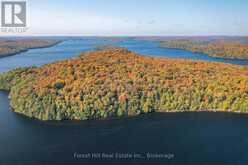 0 BEAR ISLAND | Lake of Bays Ontario | Slide Image Twenty-seven