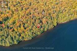 0 BEAR ISLAND | Lake of Bays Ontario | Slide Image Thirty