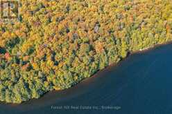 0 BEAR ISLAND | Lake of Bays Ontario | Slide Image Thirty-one