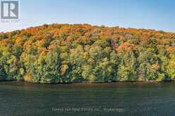 0 BEAR ISLAND | Lake of Bays Ontario | Slide Image Thirty-two