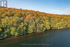 0 BEAR ISLAND | Lake of Bays Ontario | Slide Image Thirty-three