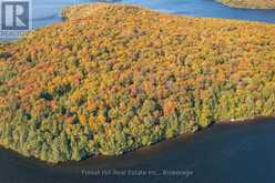 0 BEAR ISLAND | Lake of Bays Ontario | Slide Image Five