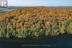 0 BEAR ISLAND | Lake of Bays Ontario | Slide Image Seven
