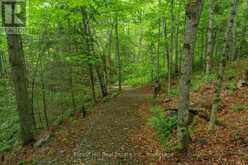 5017 KAWAGAMA LAKE ROAD | Lake of Bays Ontario | Slide Image Six