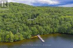 5017 KAWAGAMA LAKE ROAD | Lake of Bays Ontario | Slide Image Seven
