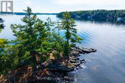 20 - 1121 SCARCLIFFE ROAD | Port Carling Ontario | Slide Image Four