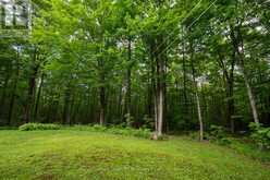 4325 STISTED ROAD | McMurrich/Monteith Ontario | Slide Image Twenty-nine
