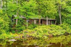 5278 KENNISIS LAKE ROAD | Haliburton Ontario | Slide Image One